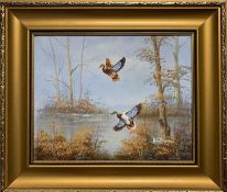 British, contemporary, Mallards in flight, acrylic on canvas, indistinctly signed,9x9.5ins,