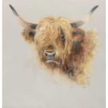 John Ryan (British, contemporary), study of a highland bull, acrylic on canvas, signed, unframed.