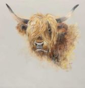 John Ryan (British, contemporary), study of a highland bull, acrylic on canvas, signed, unframed.