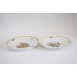 Pair of Meissen plates, the centres decorated with birds with gilt border, flowers and bugs,