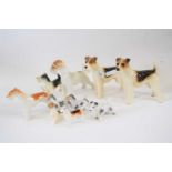 A group of English and European ceramic models of terriers various factories (10)tallest 20cmGood