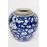 Chinese porcelain ginger jar, probably 19th century, decorated with prunus on a blue ground with