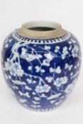 Chinese porcelain ginger jar, probably 19th century, decorated with prunus on a blue ground with