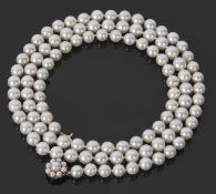 Cultured pearl necklace, a single row of uniformed beads, 7.56mm approx each to a 9ct gold cluster