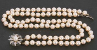 Double row of cultured pearls of uniform size (6mm) to a 585 stamped diamond and sapphire cluster