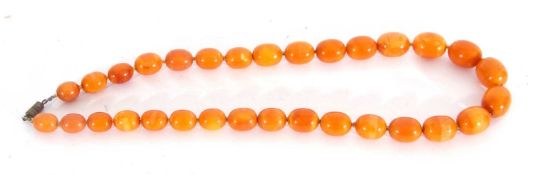 Graduated amber bead necklace, a single row of butterscotch coloured drum shaped beads, 1-15cm diam,