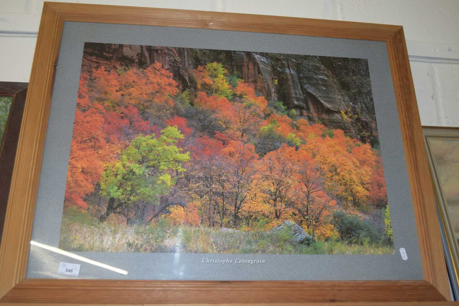 CHRISTOPH CASSEGRAIN, COLOURED PHOTOGRAPHIC PRINT, AUTUMN TREES PLUS A FURTHER COLOURED PRINT, - Image 2 of 2