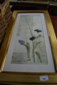 FOUR MODERN GILT FRAMED PRINTS