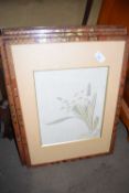 SET OF FOUR ORIENTAL FLORAL STUDIES IN LACQUERED FINISH FRAMES (4)