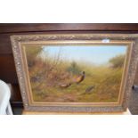 JAMES WRIGHT, STUDY OF THREE PHEASANTS, OIL ON CANVAS, GILT FRAMED, 73CM WIDE