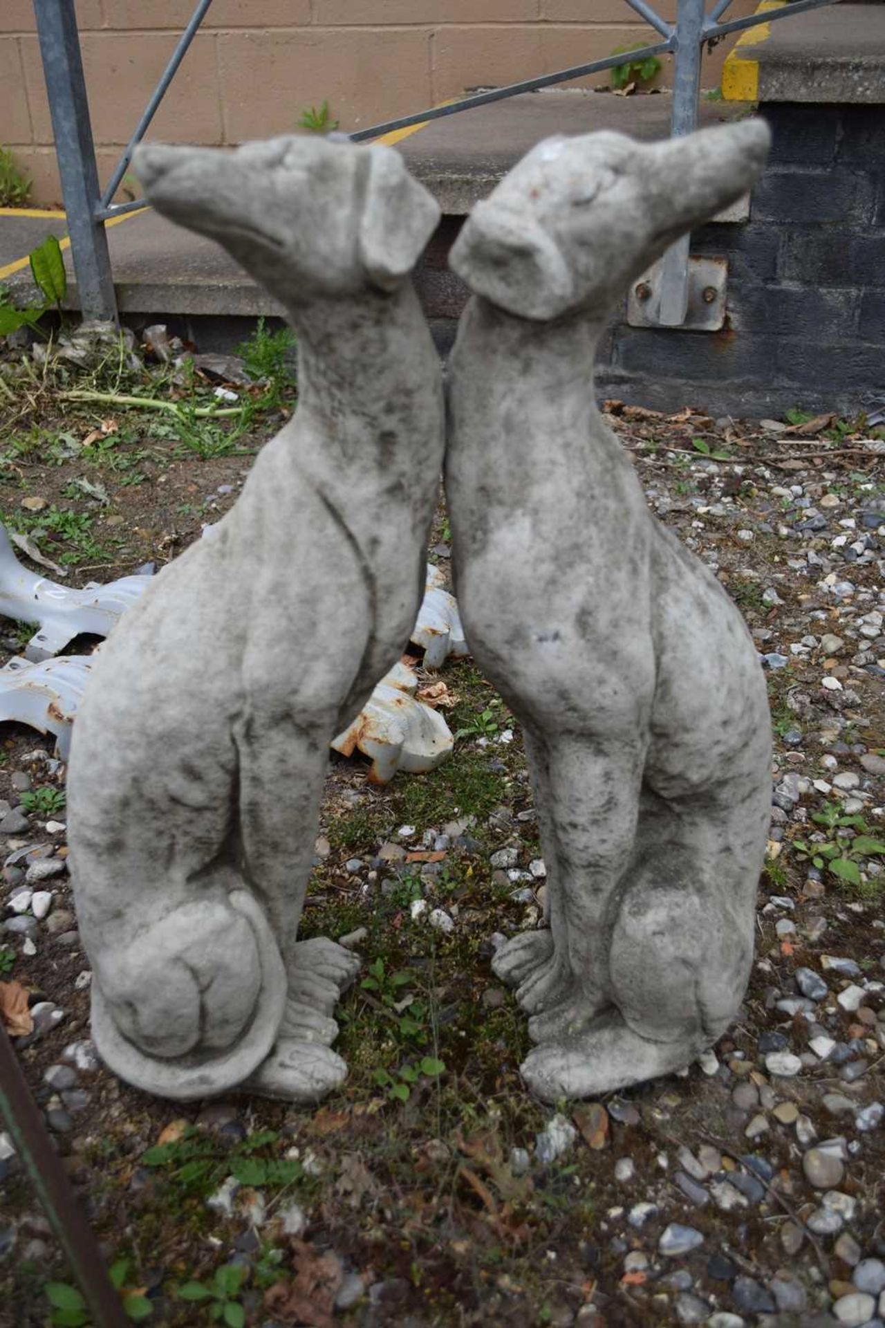 Pair of seated whippets, height approx 55cm