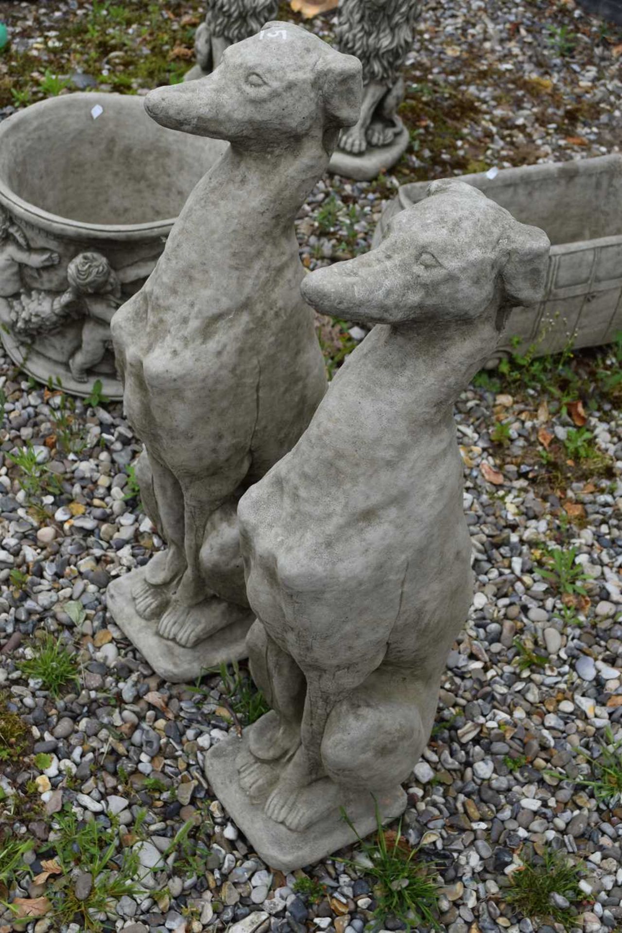 Pair of seated whippets, height approx 70cm - Image 2 of 2