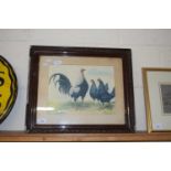 STUDY OF A TRIO OF OLD ENGLISH GAME FOWL, COLOURED PRINT, F/G