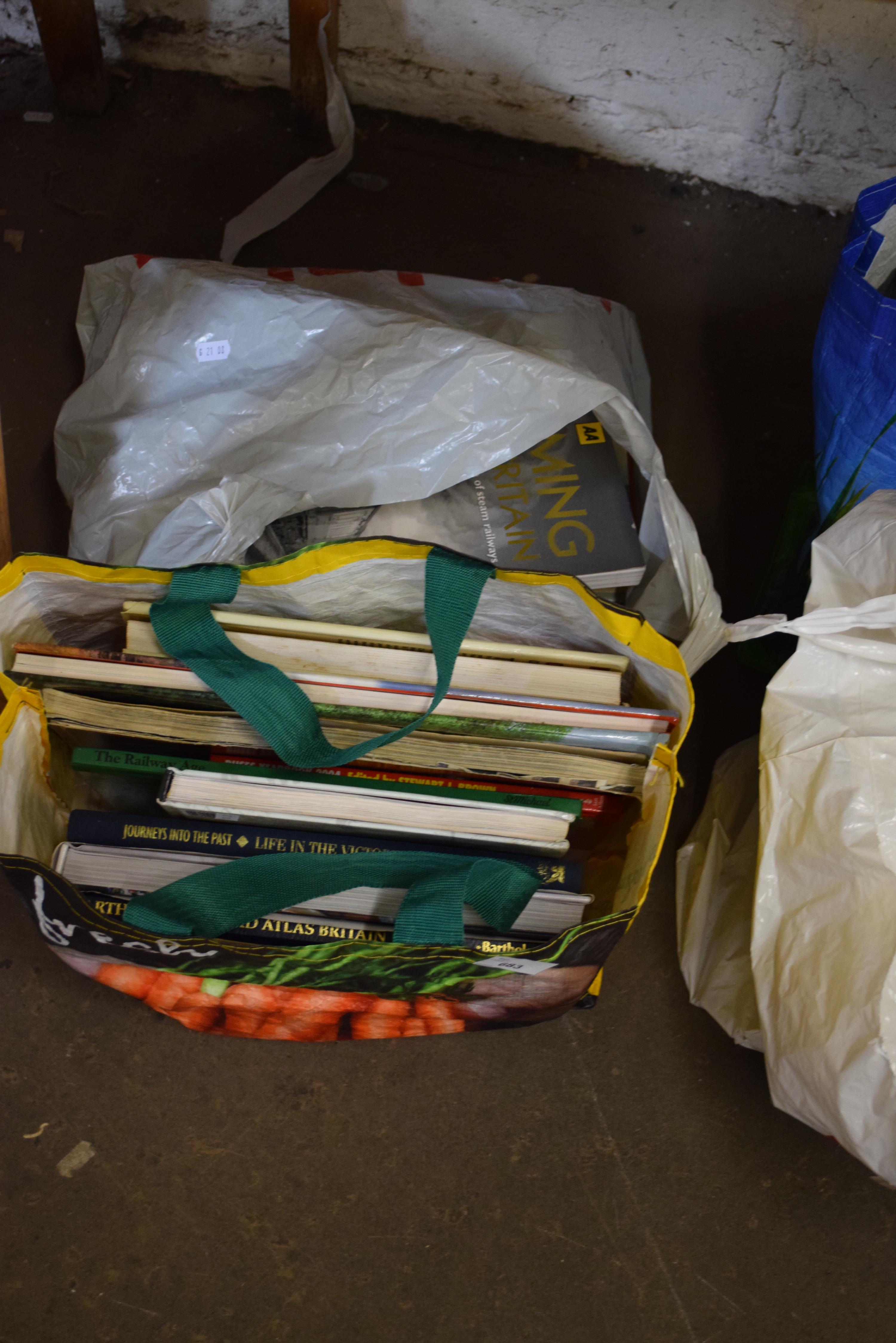 TWO BAGS OF BOOKS