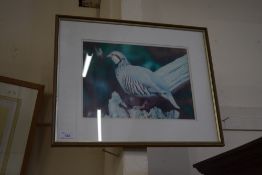 PHOTOGRAPHIC PRINT OF A FRENCH PARTRIDGE