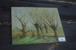 STUDY OF POLLARDED WILLOWS, OIL ON BOARD, UNFRAMED