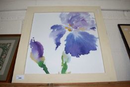 STUDY OF IRIS FLOWERS, F/G