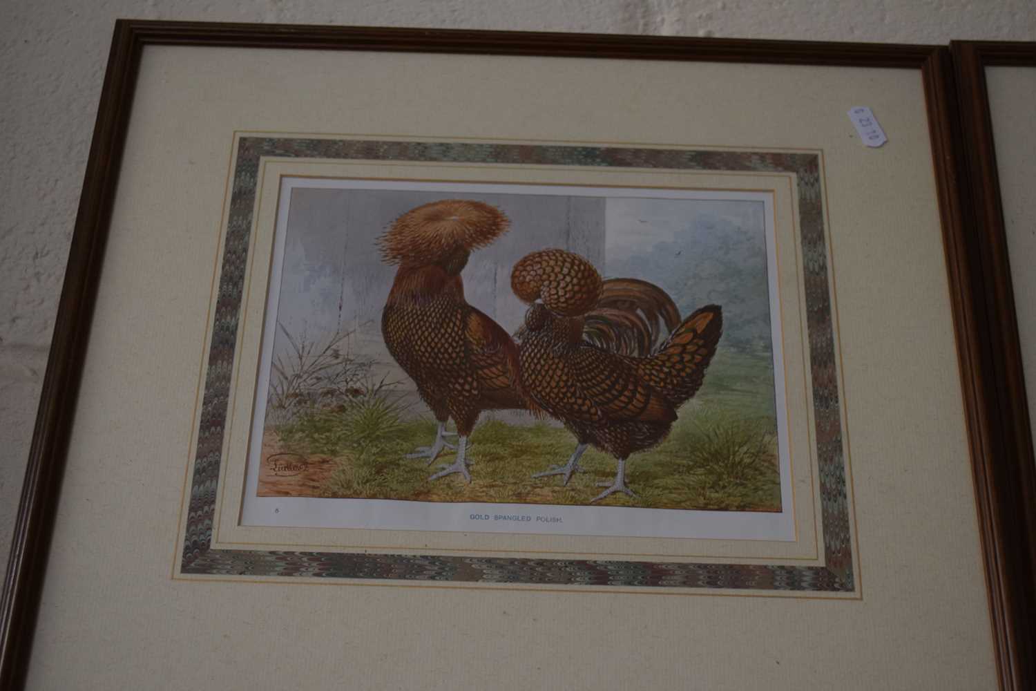 AFTER LUDLOW, THREE COLOURED PRINTS, VARIOUS POULTRY BREEDS