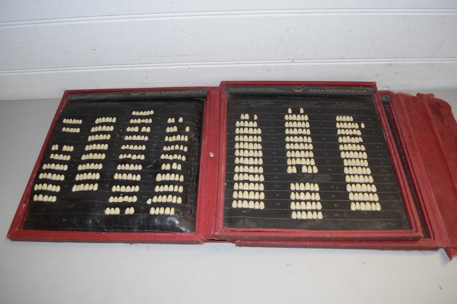 CASED FRENCH DENTAL DISPLAY OF TEETH MARKED 'SOLILA SUPERIEURES PAR 6'