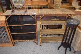 TWO VICTORIAN BAMBOO FRAMED BOOKCASE CABINETS, ONE WITH OPEN BACK, THE OTHER CLOSED