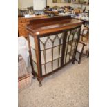 LARGE DISPLAY CABINET WITH TWO GLAZED DOORS