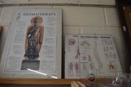 TWO FRAMED POSTERS 'THE HUMAN SPINE - DISORDERS' AND 'THE SPINAL NERVES', TOGETHER WITH AN