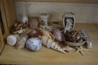 CRESTED CHINA AND ASSORTED SEA SHELLS
