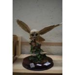 BORDER FINE ARTS MODEL OF AN OWL - BOX INCLUDED