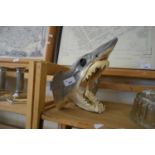 TAXIDERMY SHARKS HEAD