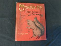 CAROLINE PRIDHAM: DOMESTIC PETS, THEIR HABITS AND TREATMENT..., London, S W Partridge [1893?], 1st