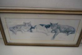 FRAMED PRINT OF CATS, SIGNED WILLIS, 250/42