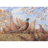 Peter Merrin (British, 20th century), A Ring-necked pheasant in surrounding foliage,