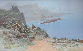 Harris Brett (British, 20th century), Cliffs and mountain seascape with gannets, gouache, signed,
