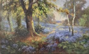 Daniel Sherrin (British, 20th century), A woodland carpetered in bluebells, oil on canvas, signed,