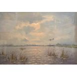 British School, 20th century, Shelducks alighting, indistinctly signed, oil on board, framed and