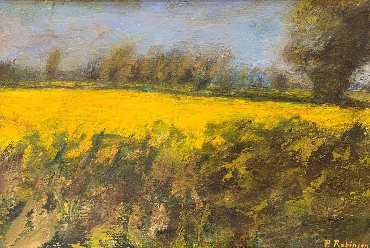 Paul Robinson (British, 20th century), 'Rapefield', impasto oil on board, 11.5x17ins, signed,