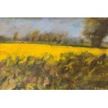 Paul Robinson (British, 20th century), 'Rapefield', impasto oil on board, 11.5x17ins, signed,