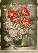 Gerald Cooper (British 1899-1971), Striped Lilly, 1946, lithograph by The Baynard Press for School