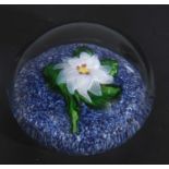 19th century St Louis miniature paperweight with a white flower and green leaves on a blue and white