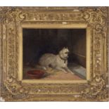 British School, 19th Century, follower of William Henry Hunt (British, 1790-1864), Study of a dog