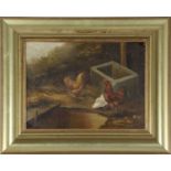 British School, 20th Century, A brood of chickens next to a trough and small pool, oil on canvas,