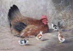 Colin W Burns (British, b. 1944- ), "Brown Hen & Chicks", Oil on canvas laid down on board,