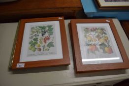 SET OF FOUR PRINTS OF FRUIT AND VEGETABLES AND A FURTHER STUDY OF ORCHIDS BY BRIAN HALL (5)