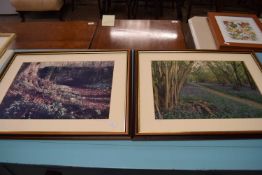 NICHOLAS SMITH, TWO FRAMED PHOTOGRAPHIC PRINTS OF FOXLEIGH WOODS AND WALSINGHAM ABBEY, F/G