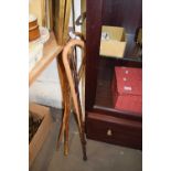 VARIOUS MIXED WALKING STICKS