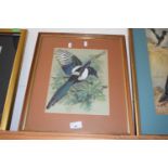 AFTER BASIL EADE, COLOURED PRINT OF A MAGPIE, F/G