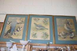 AFTER ROWLAND GREEN, THREE COLOURED PRINTS - GARDEN AND SEA BIRDS, F/G