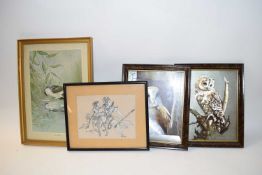 MIXED LOT OF FOUR PRINTS OF OWLS AND OTHERS