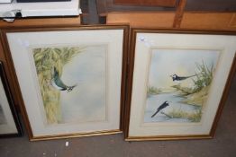 ANDREW OSBORNE, STUDY OF LAPWING WITH CHICKS AND STUDY OF A PAIR OF PIED WAGTAILS, WATERCOLOURS, F/G