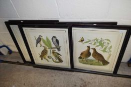 SET OF FOUR REPRODUCTION ORNITHOLOGICAL PRINTS, F/G, 70CM HIGH